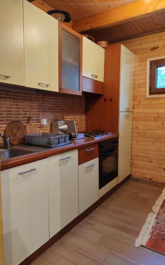 Guesthouse Mg Žabljak Dış mekan fotoğraf